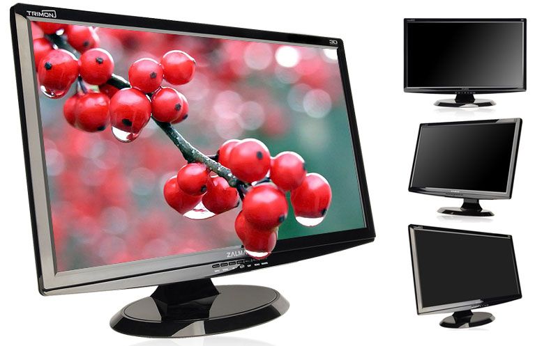 ZALMAN 24 2D 3D LCD Monitor ZM M240W + 3D Glasses 2EA  