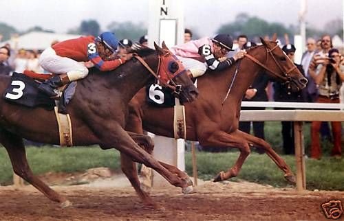 AFFIRMED 1978 PREAKNESS TRIPLE CROWN HORSE RACING POSTER (picture 