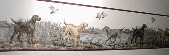 Hunting DOGS LABS Retriever WALLPAPER BORDER Dog AKC  