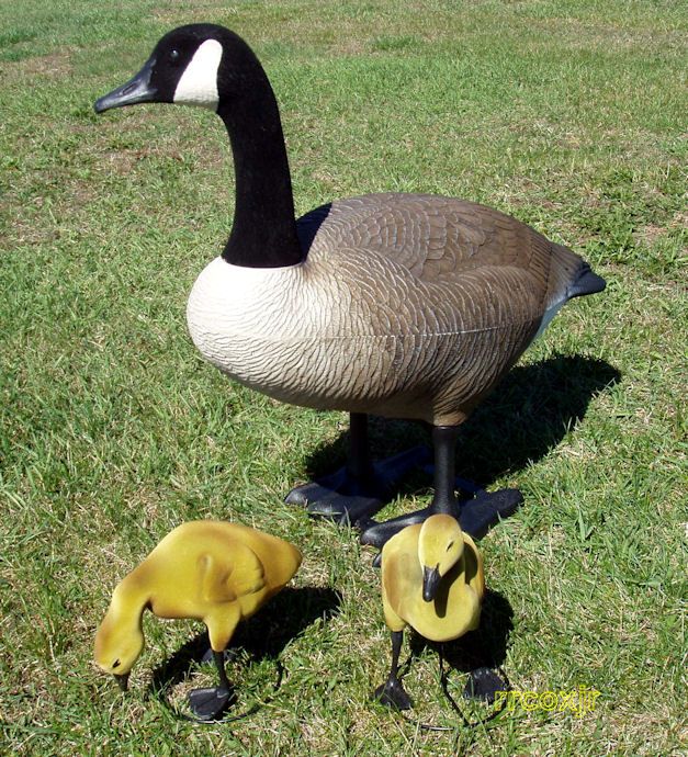 BIGFOOT BIG FOOT CANADA GOOSE DECOY YARD LAWN ART DECOR ORNAMENT+2 