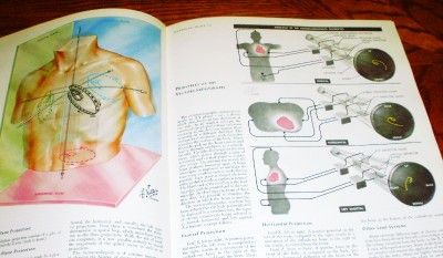 1974 THE CIBA COLLECTION OF MEDICAL ILLUSTRATIONS VOL. 5 HEART FRANK H 