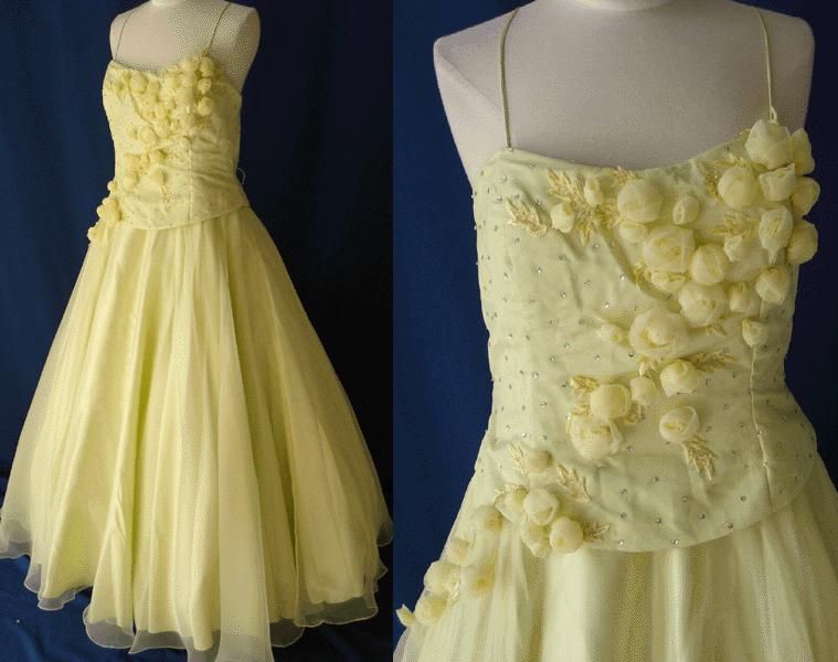 Gorgeous Cinderella Ball Gown Dress Party Gala Evening Pageant Brand 