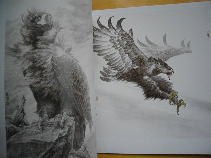 Hawk Eagle Falcon Chinese Painting Tattoo sketch Flash Reference China 