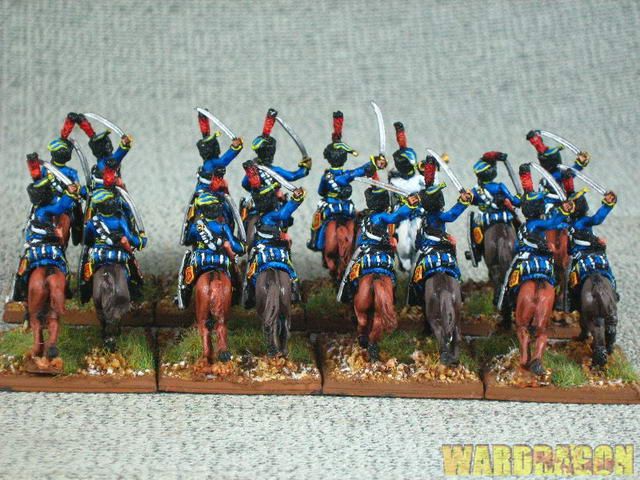 Napoleonic WDS painted French Hussar Colpack r86  