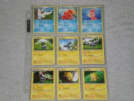 Complete Pokemon Black & White Set 114/114 Ultra Rare  