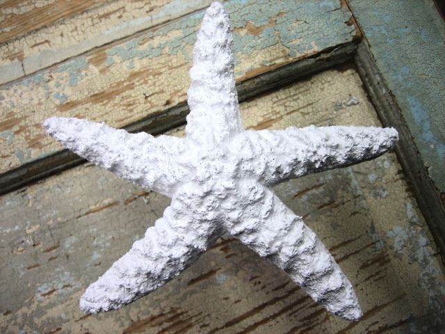 SHABBY n CHIC STARFISH CURTAIN TIEBACK * FURN APPLIQUES  