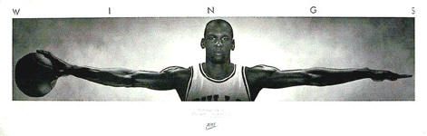   ~ MICHAEL JORDAN WINGS 23x72 6 FOOT NIKE Chicago Bulls Door  