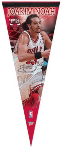 JOAKIM NOAH Chicago Bulls Premium Pennant LE/500  