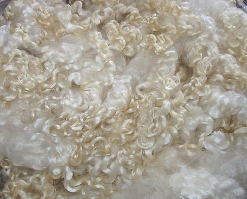 Wensleydale Fleece Wool,for felting/dolls hair/spin/dye  